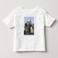 Empire State Building and New York City, New