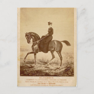 Empress Elisabeth of Austria riding horse #023SS Postcard