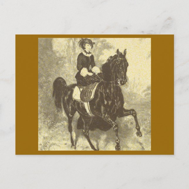 Empress Elisabeth riding horse sidesaddle #002SS Postcard (Front)