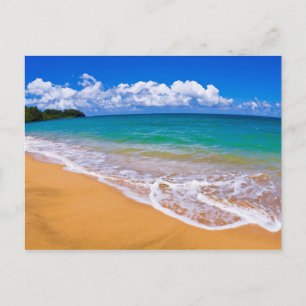 Empty Beach And Blue Waters Postcard