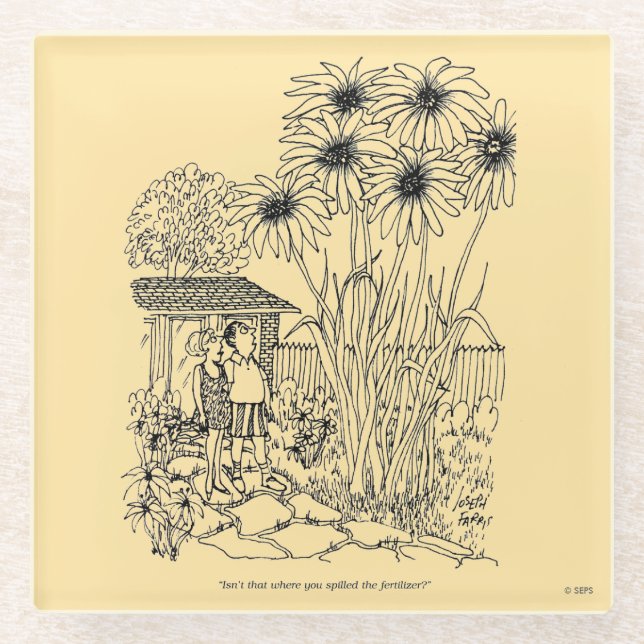 Empty Bird Feeder Glass Coaster (Front)