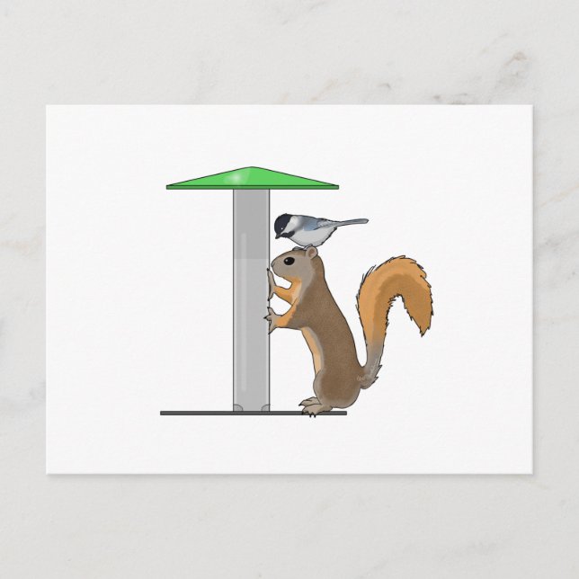 Empty Bird Feeder Postcard (Front)