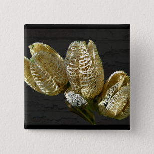 Empty Lily Seed Pods Coordinating Items 15 Cm Square Badge