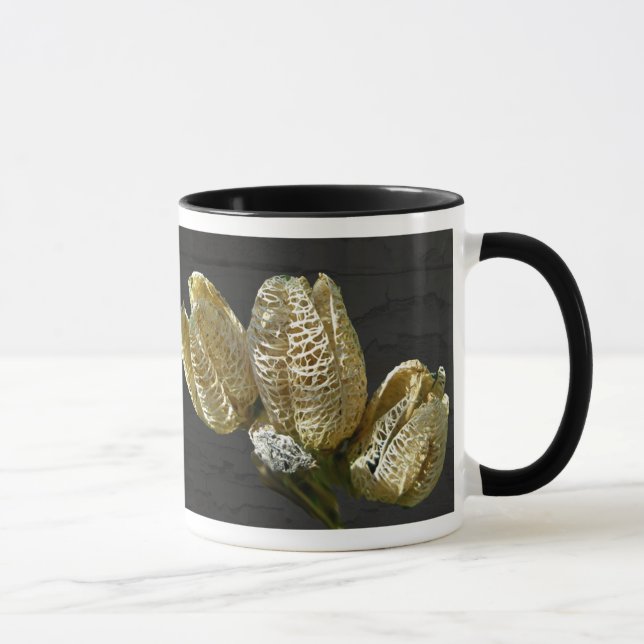 Empty Lily Seed Pods Coordinating Items Mug (Right)