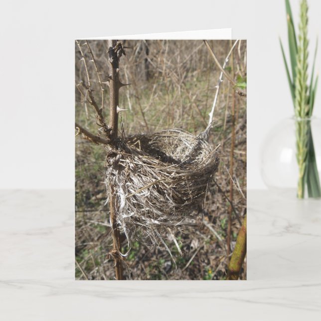 Empty Nest Card (Front)