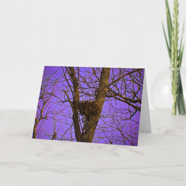 Empty Nest Note Card (Front)