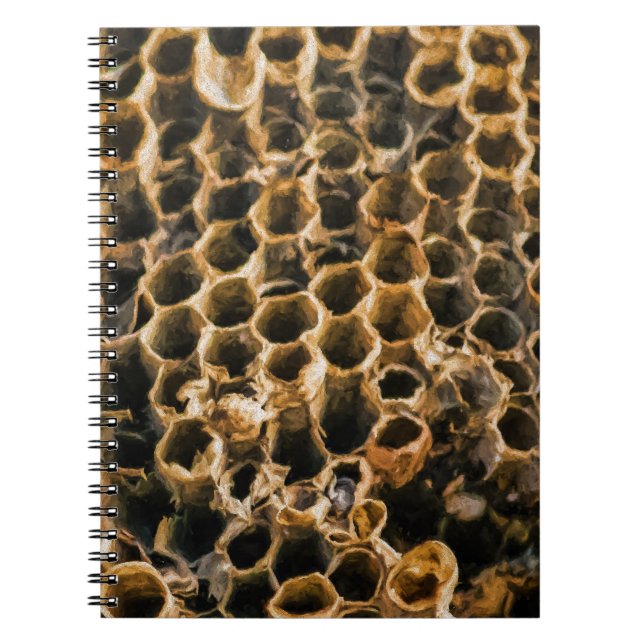 Empty Nest Spiral Notebook (Front)