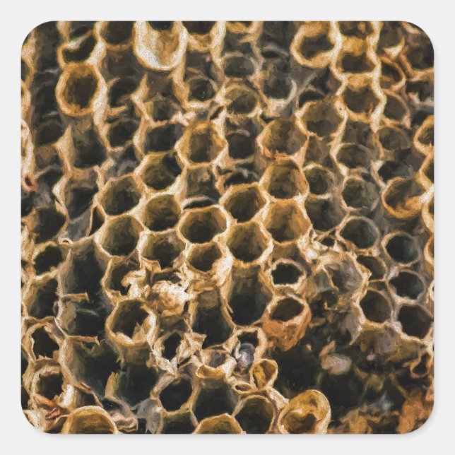 Empty Nest Square Sticker (Front)