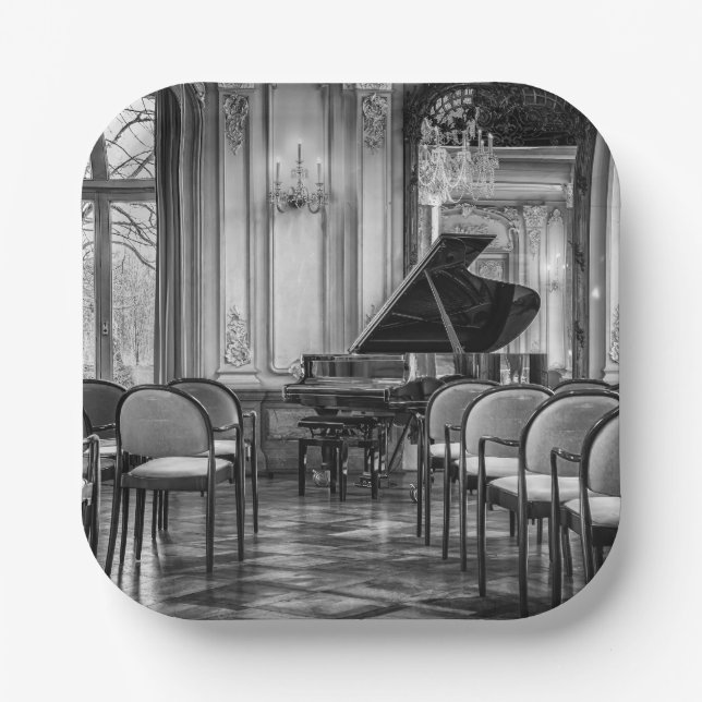 Empty Notes Black and White Music Photograph Paper Plate (Front)