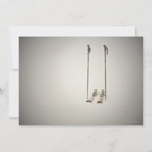 Empty Skis and Poles