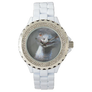 Emu Bird Watch