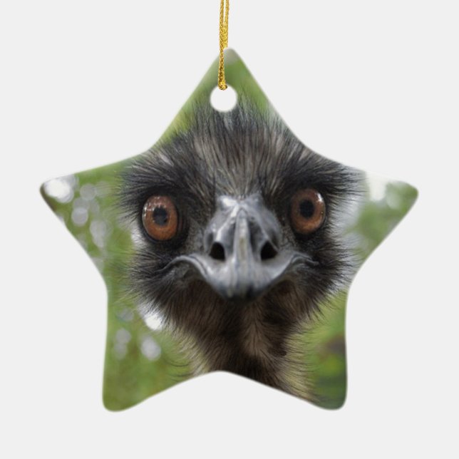 Emu Ceramic Tree Decoration (Front)