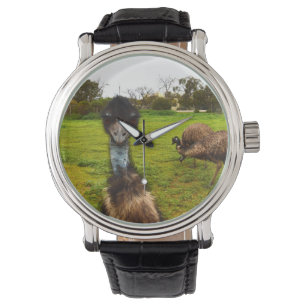 Emu I Dare You,   Watch