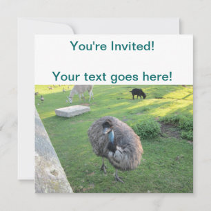 Emu Invitation