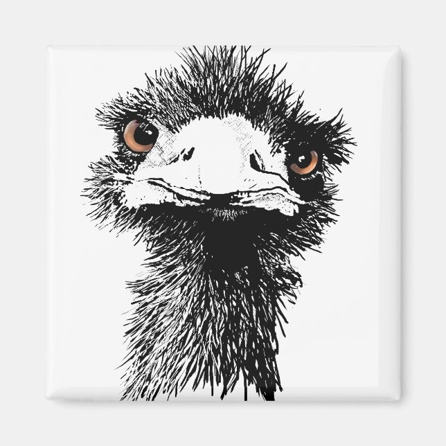 Emu Magnet (Front)