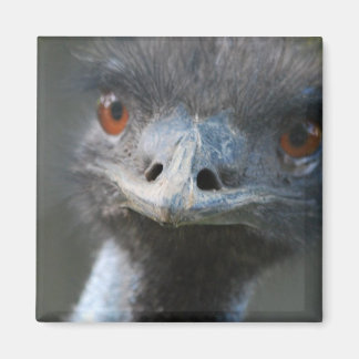 Emu Magnet