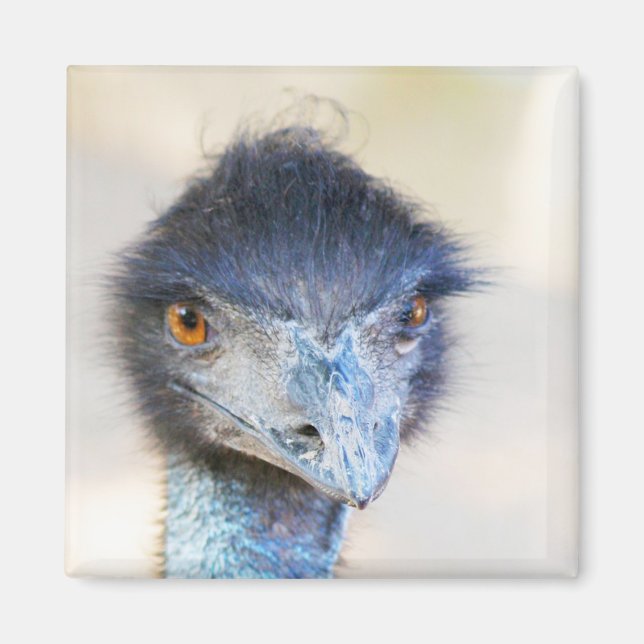Emu Magnet (Front)