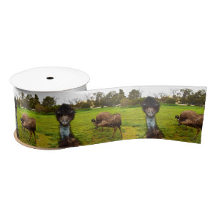 Emu Photobomb, Satin Ribbon