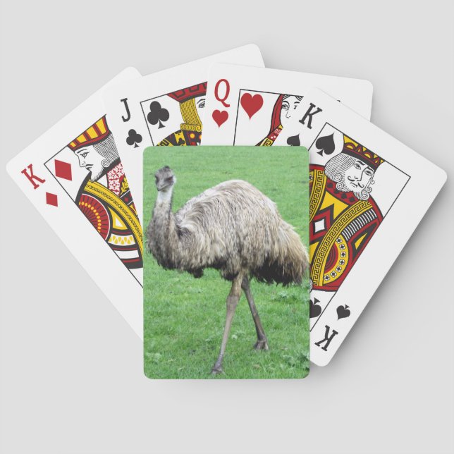 emu playing cards (Back)