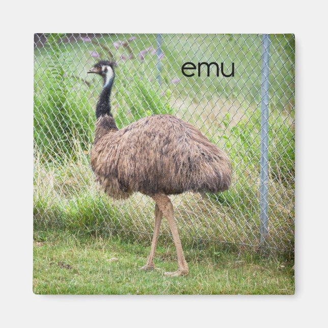Emu Refrigerator Magnet (Front)