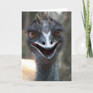 Emu saying HI! Open beak big brown eyes picture Card