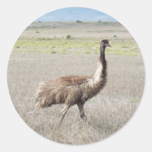 emu stride classic round sticker