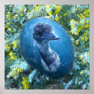 Emu Wildlife Poster