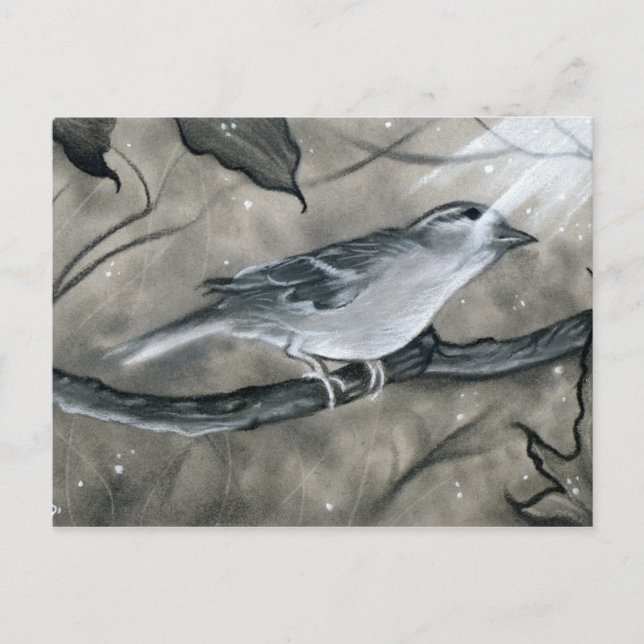 Enchanted Bird Tree Light Postcard (Front)