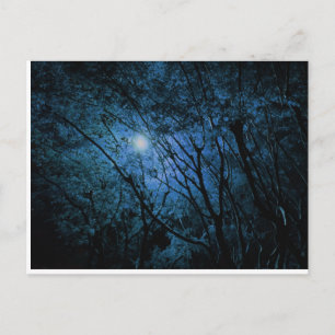 enchanted dark forest postcard
