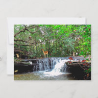  Enchanted Forest Deer Frog Owl Fairies  Invitatio