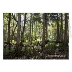 Enchanted Forest, Fisheating Creek
