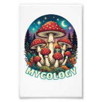 Enchanted Forest Mushroom Art