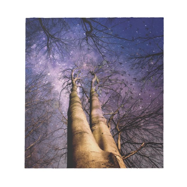 Enchanted Forest Notepad (Front)