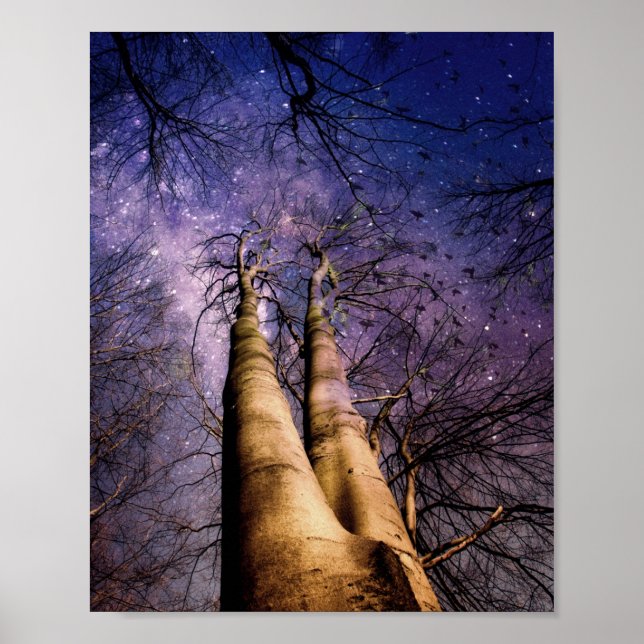 Enchanted Forest Poster (Front)