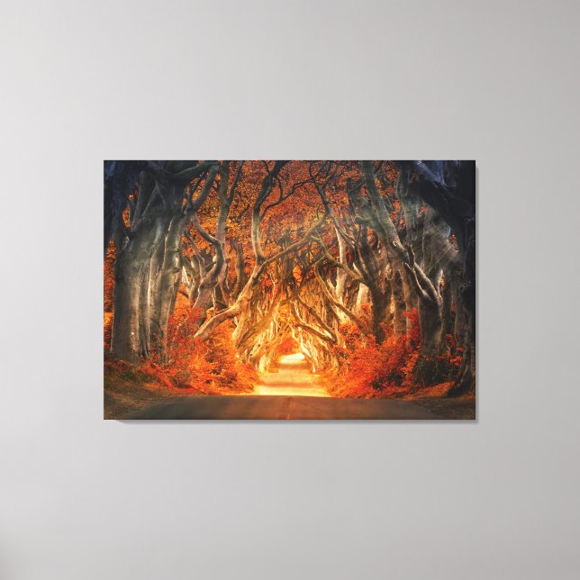 Enchanted Forest Road   Canvas Print (Front)