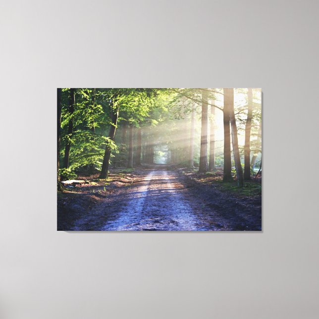 Enchanted Forest Road   Canvas Print (Front)