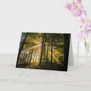 Enchanted Forest Sun Rays 1 Card
