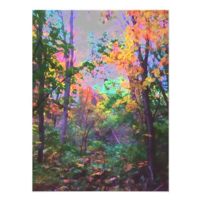 Enchanted Forrest Photo Print (Front)