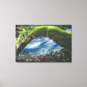 Enchanted magical forest canvas print