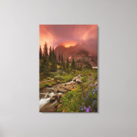 Enchanted Meadows
