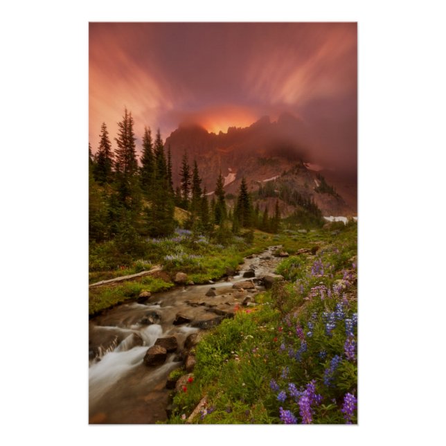 Enchanted Meadows Poster (Front)