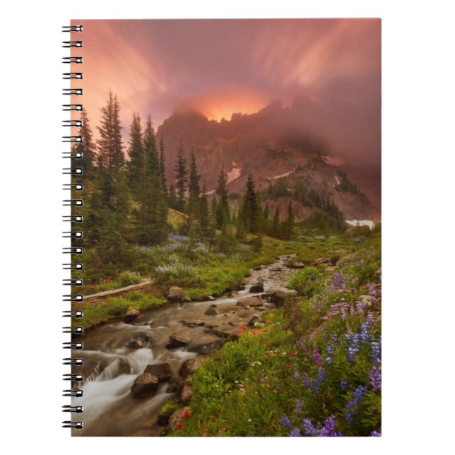 Enchanted Meadows Spiral Notebook (Front)