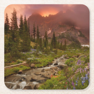 Enchanted Meadows Square Paper Coaster