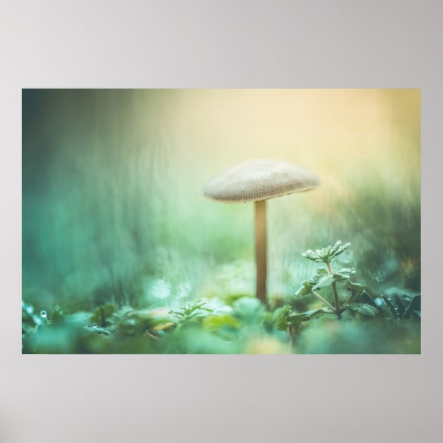 Enchanted Mushroom Nature Photo Poster (Front)