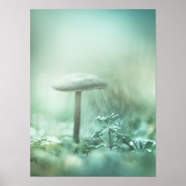 Enchanted Mushroom Nature Photo Poster (Front)
