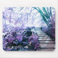 enchanted path