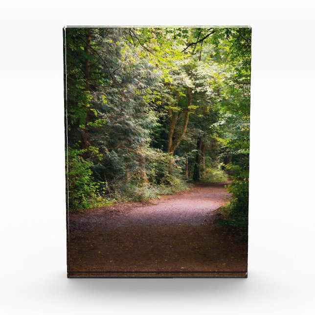 Enchanted Photo Block (Front)