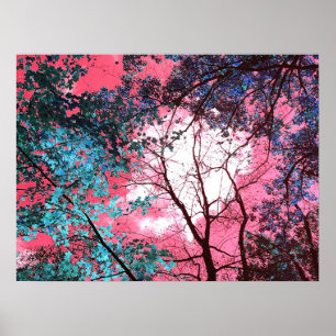 Enchanted poster