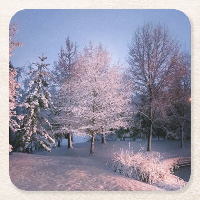 Enchanted Winter Wonderland Coasters (Front)