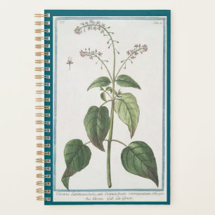 Enchanter's Nightshade planner